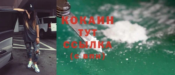 apvp Горняк