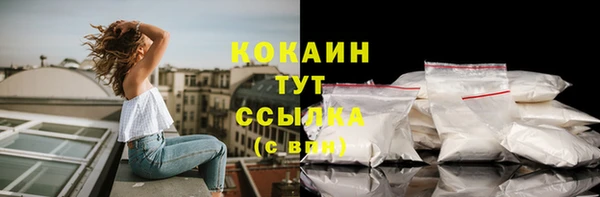 тгк Горно-Алтайск