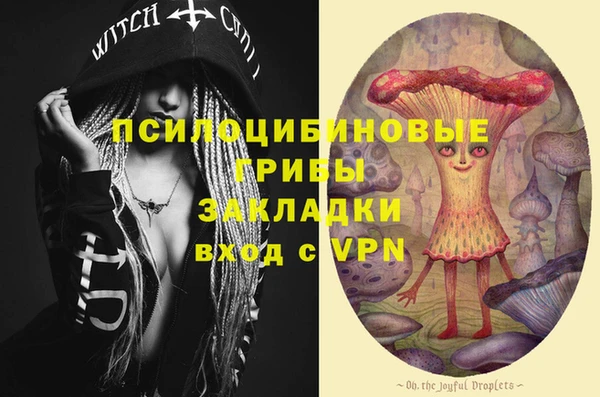 тгк Горно-Алтайск