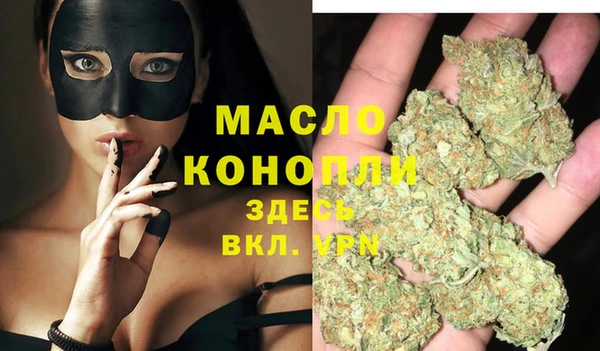 apvp Горняк
