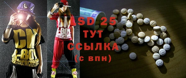 амф Вяземский