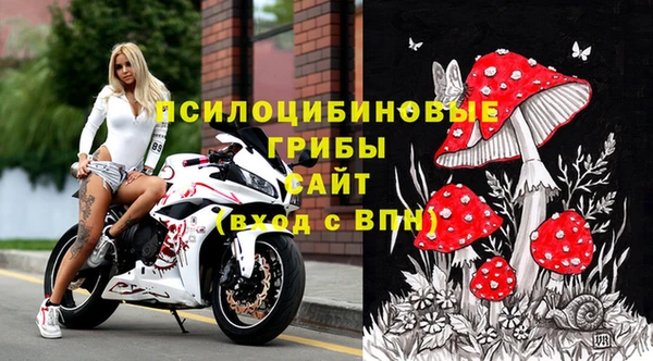 apvp Горняк