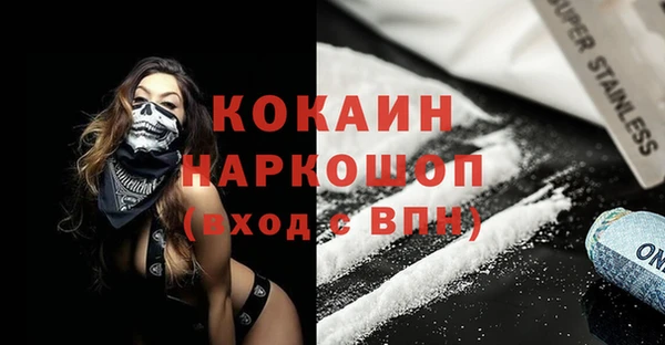 apvp Горняк